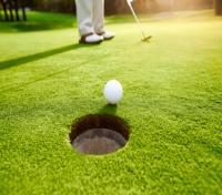 Golf Course Golfer Putt